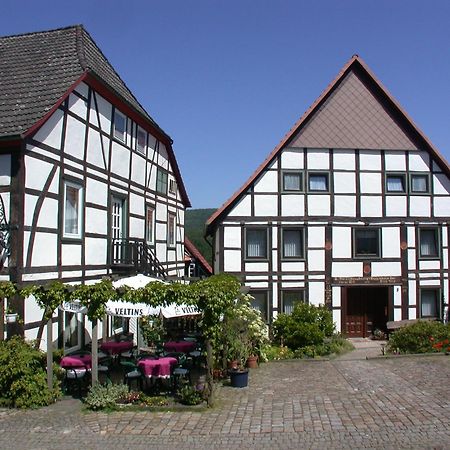 Hotel Schwalenberger Malkasten シーダー・シュヴァレンベルク エクステリア 写真